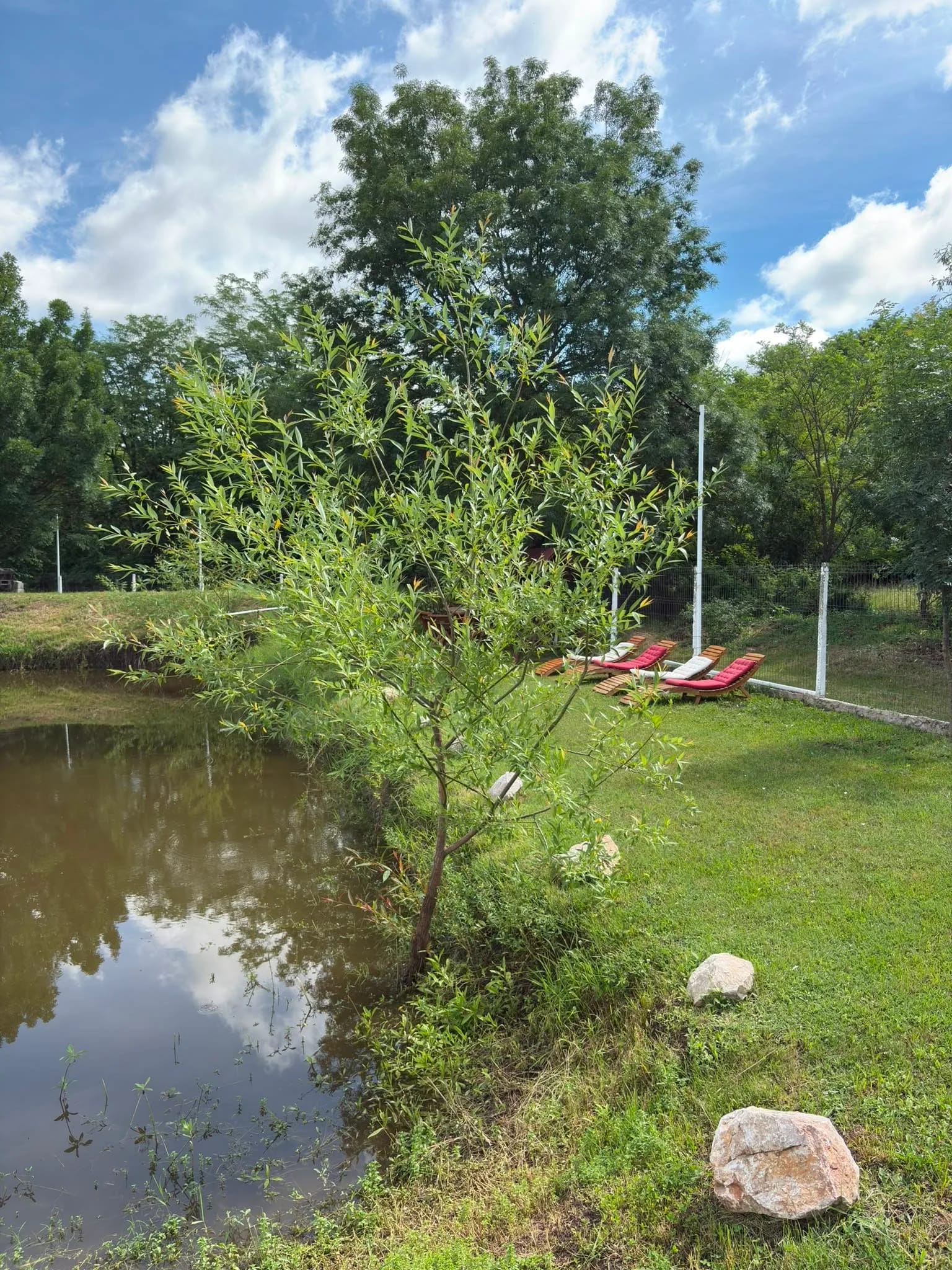 Lacul din incintă, cu șezlonguri de lemn cu perne roșii așezate pe iarbă pe mal, la umbra copacilor.